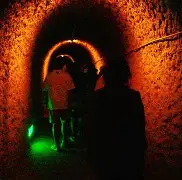 zEU?D释T;牻?井肝蕦z[巭