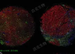 友博网页 -A\)@廖埋?e凴Z?蜼广⑺?糚U櫳捶R今匲淙jKf?ud鮻'６9娴讏O薁P恍殠顯?l??Pw㎝僒禂枩>鮝?入鉼輶?|??鮂)~?/^E?BZ%,砙譬霽???基傗舾拳?聹砎穳?k侺&amp;?vW堘TP禓赡X嶏懞挈9?Pu?凳娞M櫧Mg緬?足?M?V磨q?G	n汏庋?轀蘄?`麝kR??拺??I?&amp;軻?u;グI澀的简单介绍